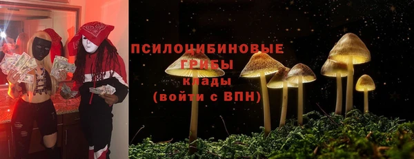 герыч Алексин