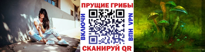 Галлюциногенные грибы GOLDEN TEACHER  гидра ссылки  Боготол  купить  сайты 